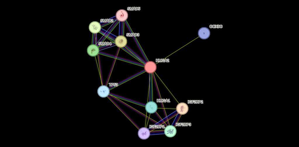 Repurpose Content with AI into 23 different formats